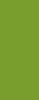 RIGA VERDE